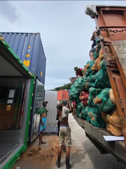 Export of Coconut Products - Image 1